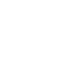 gestión conocimiento